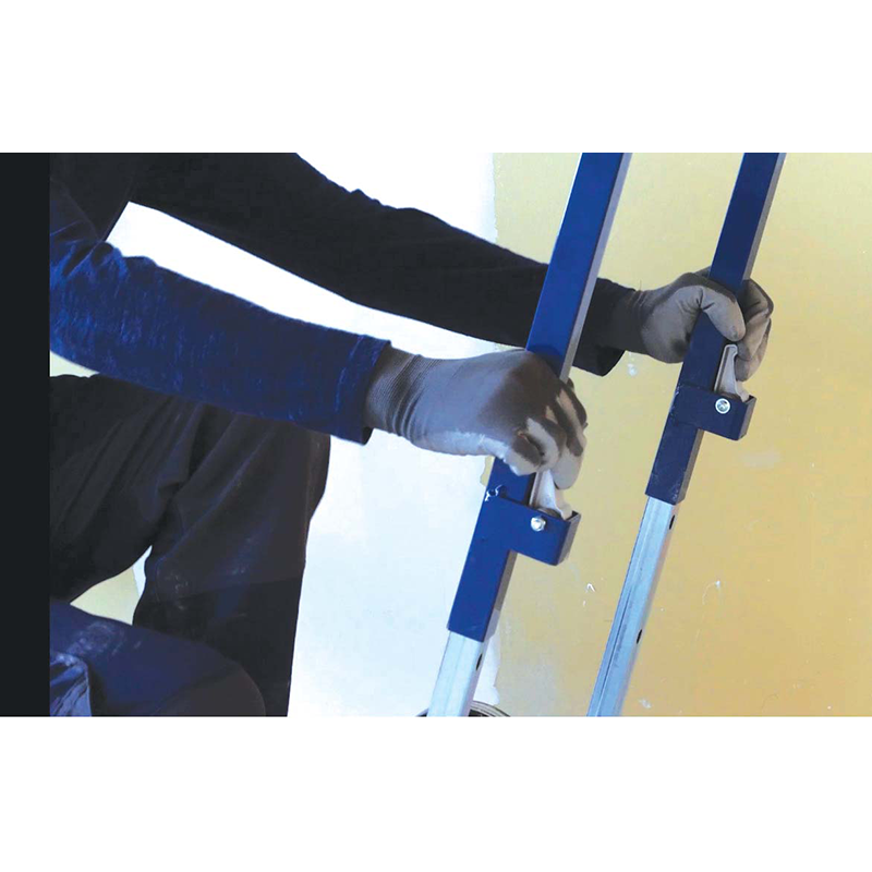 Gazelle Nouvelle génération 2022