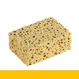 eponge